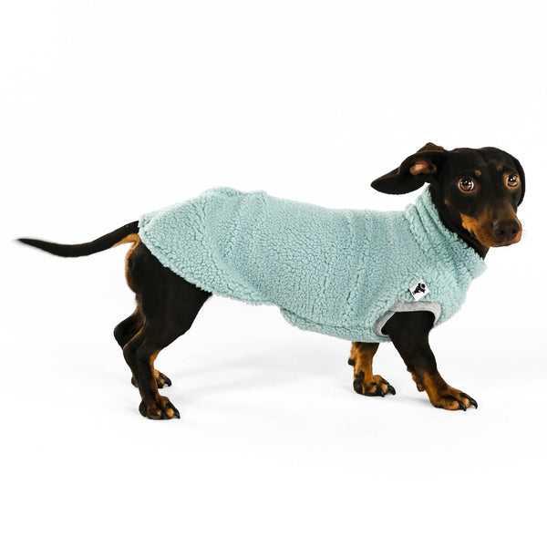 Dackel Teddy Shirt in Mint