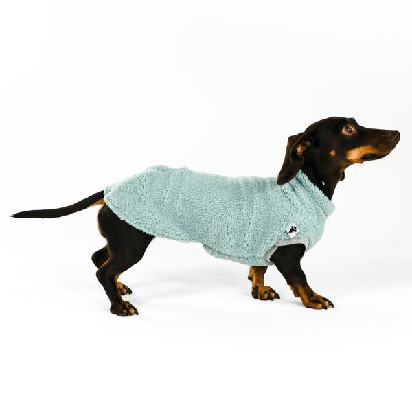 Dackel Teddy Shirt in Mint