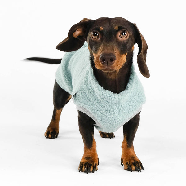 Hundepullover für Dackel