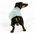 Bild in Galerie-Betrachter laden, Hundepullover Teddy Mint