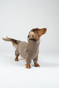 Bild in Galerie-Betrachter laden, Langhaar-Dackel im walnutfarbenen Fleeceoverall – weicher Schutz vor Kälte.