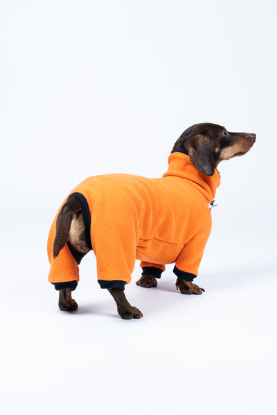 Seitenansicht Dackel in warmen bequemen Fleece Overall in Orange