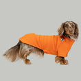 Bild in Galerie-Betrachter laden, Dackel trägt orangefarbenen Fleece-Pullover – warmer Hundepullover im Studio.