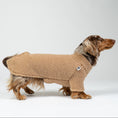 Bild in Galerie-Betrachter laden, Dackel trägt kuscheligen Teddy-Pullover in Camel – weiche Wintermode für kleine Hunde.