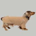 Bild in Galerie-Betrachter laden, Dackel trägt kuscheligen Teddy-Pullover in Camel – weiche Wintermode für kleine Hunde.