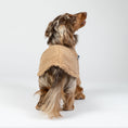 Bild in Galerie-Betrachter laden, Zwergdackel im warmen Camel-Fleece-Teddy-Pullover – weicher, gemütlicher Hundepullover.