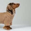 Bild in Galerie-Betrachter laden, Langhaar-Dackel posiert im Teddy-Fleece-Pullover in Camel – komfortable, anschmiegsame Passform.