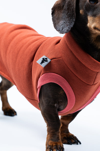 Nahaufnahme: Kragen, Naht und Material des Terracotta-Sweat Shirts für Dackel im Fokus