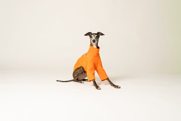 Windspiel-Mode: oranger Fleece-Pullover für Hunde – stylisch und praktisch zugleich
