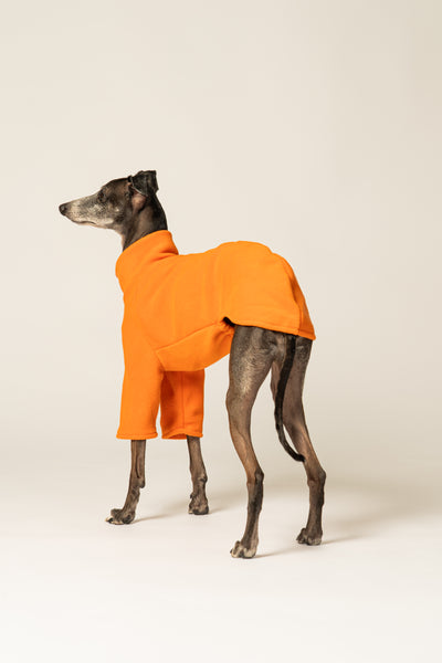 Funktionaler und modischer Fleece-Pullover in Orange für Italienische Windspiele