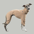 Bild in Galerie-Betrachter laden, OVERALL Windhund Sand Beige