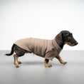 Bild in Galerie-Betrachter laden, PULLOVER Dackel Taupe