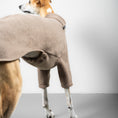 Bild in Galerie-Betrachter laden, PULLOVER Windhund Taupe