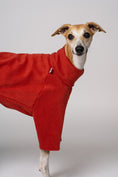 Bild in Galerie-Betrachter laden, Fleecekleidung für Windhunde in Terracotta – eleganter Look für Whippets, Galgos & Co.