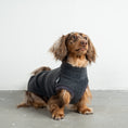 Bild in Galerie-Betrachter laden, Fleece Shirt Dackel Anthrazit – handgefertigte Hundekleidung aus der Berliner Manufaktur von Karma Hund