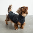 Bild in Galerie-Betrachter laden, Fleece Shirt Dackel Anthrazit – hochwertige Hundekleidung für Dackel, Windspiele und Windhunde von Karma Hund Berlin – Ganzkörperansicht am Hund