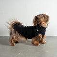 Bild in Galerie-Betrachter laden, Fleece Shirt Dackel Schwarz – Hundepullover und Hundekleidung für Dackel und Windhunde – Seitenansicht am Hund