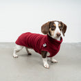 Bild in Galerie-Betrachter laden, FLEECE SHIRT Dackel Bordeaux