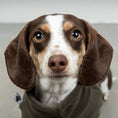 Bild in Galerie-Betrachter laden, FLEECE SHIRT Dackel Dark Olive