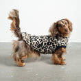 Bild in Galerie-Betrachter laden, Fleece Shirt Dackel Leo – hochwertige Hundekleidung für Dackel, Windspiele und Windhunde von Karma Hund Berlin – Ganzkörperansicht am Hund