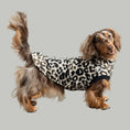 Bild in Galerie-Betrachter laden, Fleece Shirt Dackel Leo – hochwertige Hundekleidung für Dackel, Windspiele und Windhunde von Karma Hund Berlin – Ganzkörperansicht am Hund
