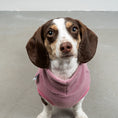Bild in Galerie-Betrachter laden, FLEECE SHIRT Dackel Mulberry
