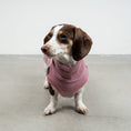 Bild in Galerie-Betrachter laden, FLEECE SHIRT Dackel Mulberry