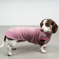 Bild in Galerie-Betrachter laden, FLEECE SHIRT Dackel Mulberry