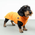 Bild in Galerie-Betrachter laden, FLEECE SHIRT Dackel Orange