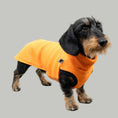 Bild in Galerie-Betrachter laden, FLEECE SHIRT Dackel Orange