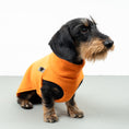 Bild in Galerie-Betrachter laden, FLEECE SHIRT Dackel Orange