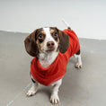 Bild in Galerie-Betrachter laden, FLEECE SHIRT Dackel Terracotta