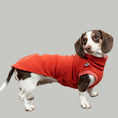 Bild in Galerie-Betrachter laden, FLEECE SHIRT Dackel Terracotta