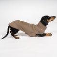 Bild in Galerie-Betrachter laden, Fleece Shirt Dackel Walnut – Hundepullover und Hundekleidung für Dackel und Windhunde – Seitenansicht am Hund