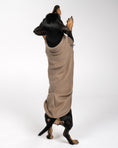 Bild in Galerie-Betrachter laden, FLEECE SHIRT Dackel Walnut