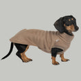 Bild in Galerie-Betrachter laden, Fleece Shirt Dackel Walnut – hochwertige Hundekleidung für Dackel, Windspiele und Windhunde von Karma Hund Berlin – Ganzkörperansicht am Hund