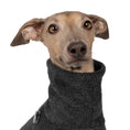 Bild in Galerie-Betrachter laden, Fleece Shirt Iggy Anthrazit – Close-up am Hund – hochwertige Hundekleidung von Karma Hund