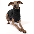 Bild in Galerie-Betrachter laden, Fleece Shirt Iggy Anthrazit – Close-up am Hund – hochwertige Hundekleidung von Karma Hund