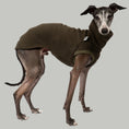 Bild in Galerie-Betrachter laden, Fleece Shirt Iggy Dark Olive – hochwertige Hundekleidung für Dackel, Windspiele und Windhunde von Karma Hund Berlin – Ganzkörperansicht am Hund