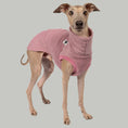 Bild in Galerie-Betrachter laden, Fleece Shirt Iggy Mulberry – hochwertige Hundekleidung für Dackel, Windspiele und Windhunde von Karma Hund Berlin – Ganzkörperansicht am Hund