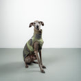 Bild in Galerie-Betrachter laden, FLEECE SHIRT Iggy Camouflage