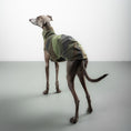 Bild in Galerie-Betrachter laden, FLEECE SHIRT Iggy Camouflage