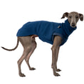 Bild in Galerie-Betrachter laden, Fleece Shirt Iggy Navy – hochwertige Hundekleidung für Dackel, Windspiele und Windhunde von Karma Hund Berlin – Ganzkörperansicht am Hund