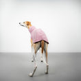 Bild in Galerie-Betrachter laden, FLEECE SHIRT Windhund Altrosa