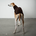 Bild in Galerie-Betrachter laden, FLEECE SHIRT Windhund Espresso