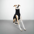 Bild in Galerie-Betrachter laden, FLEECE SHIRT Windhund Schwarz