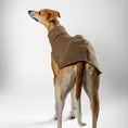 Bild in Galerie-Betrachter laden, Fleece Shirt Windhund Walnut – Hundekleidung für Dackel, Windspiele und Whippets – Rückenansicht