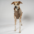 Bild in Galerie-Betrachter laden, Fleece Shirt Windhund Walnut – Close-up am Hund – hochwertige Hundekleidung von Karma Hund