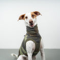 Bild in Galerie-Betrachter laden, FLEECE SHIRT Windhund Camouflage