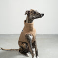 Bild in Galerie-Betrachter laden, FLEECE SHIRT Windhund Camel